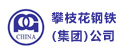 安順攀枝花鋼鐵集團公司